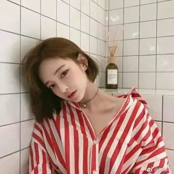 莫丽的朝圣