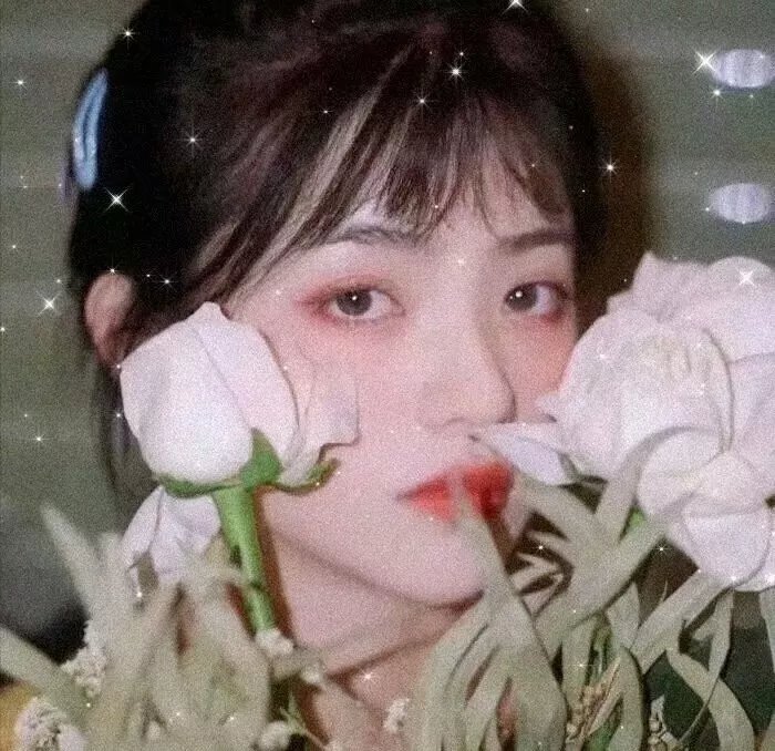 飞越绿林