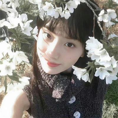 没有谎言